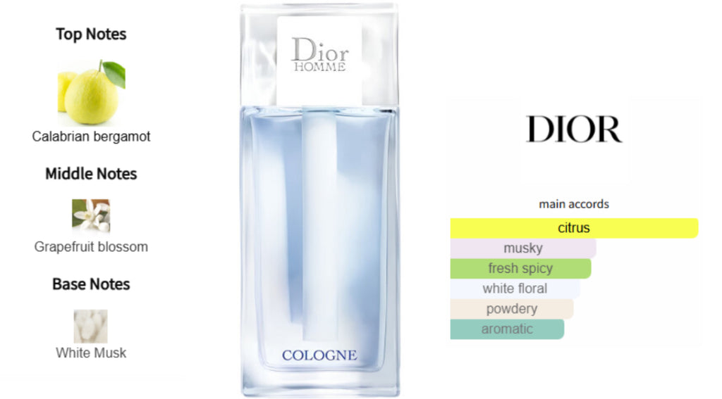 Dior Homme Cologne Sample